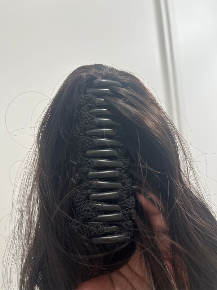 Pony tail - photo numéro 2