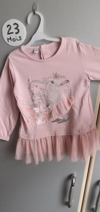 jolie tee shirt lapine danseuse 23 mois