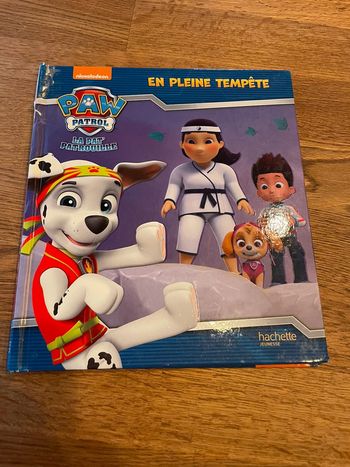 Livre Pat Patrouille En pleine tempête Paw Patrol