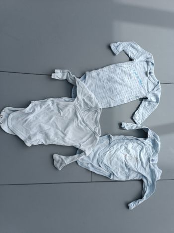 Bodies