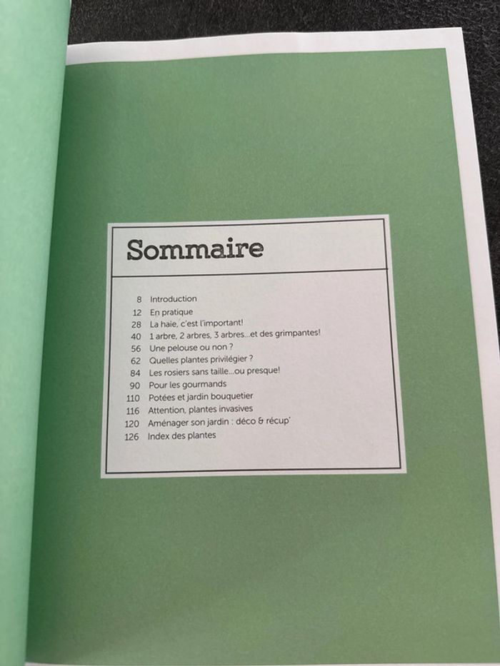 Lot 2 livres- jardiner sans efforts + nettoyer au citron - très bon état - photo numéro 8