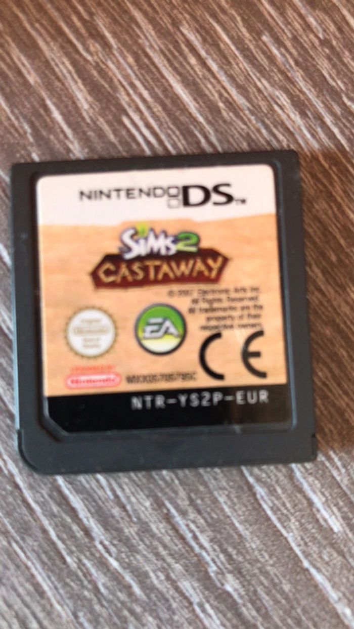 Jeu nintendo DS Sim2 Castaway - photo numéro 4