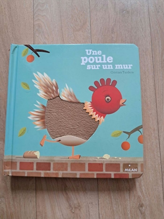 Une poule sur un mur livre à toucher