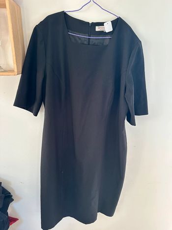 Sublime, robe noire, berger du Nord, taille 46