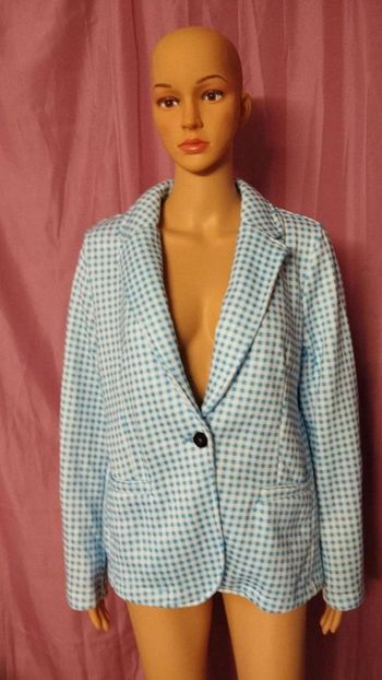 Blazer a carreaux  bleu et  blanc  taille  m  intérieur chaud