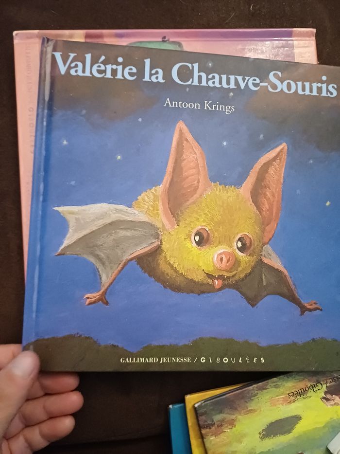 Lots 13 livres9 Antoon Krings - photo numéro 7