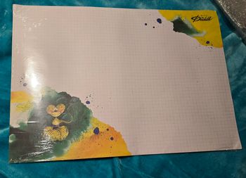 Feuille diddl A2