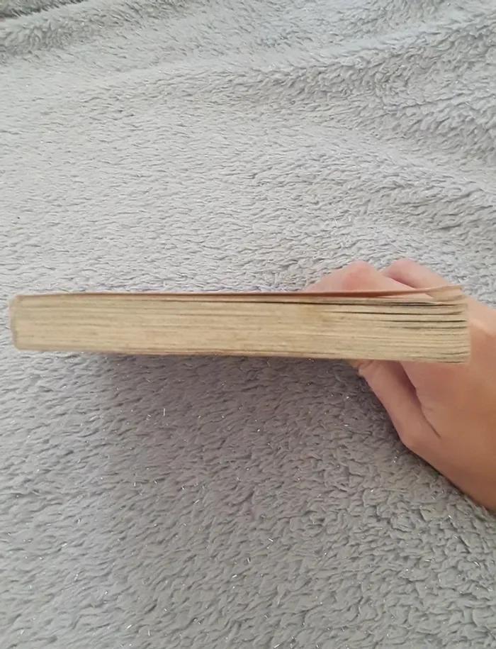 Manga hana yori dango - photo numéro 7