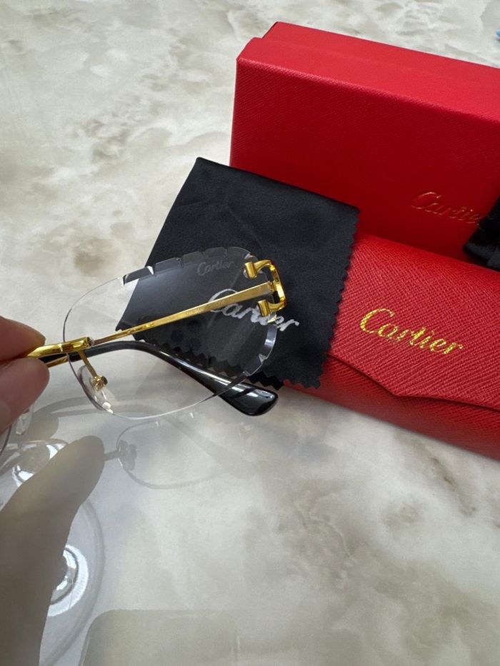 Lunettes Cartier - photo numéro 2