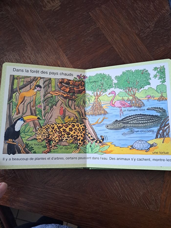 Livre - photo numéro 6