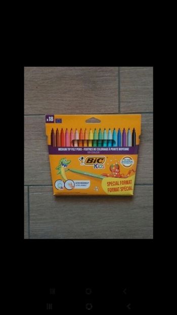 Feutres bic