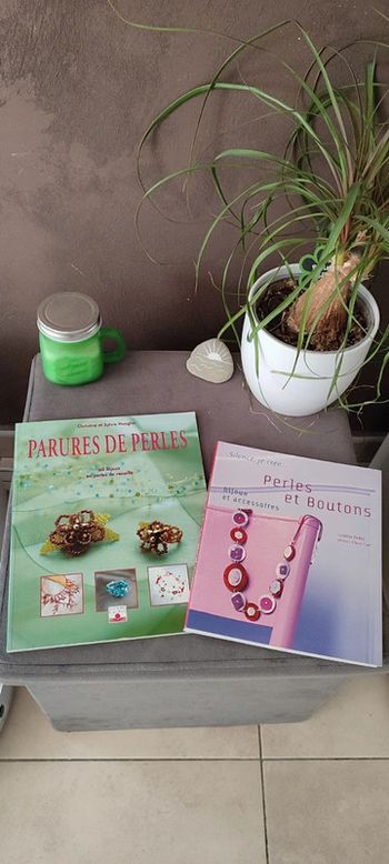 Lot 2 livres de fabrication de bijoux en perles et boutons