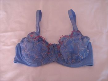 Soutien-gorge bleu 