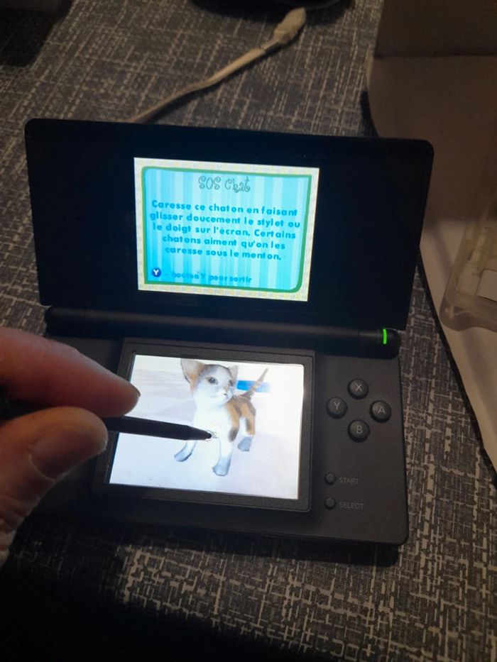 Catz Nintendo DS - photo numéro 18