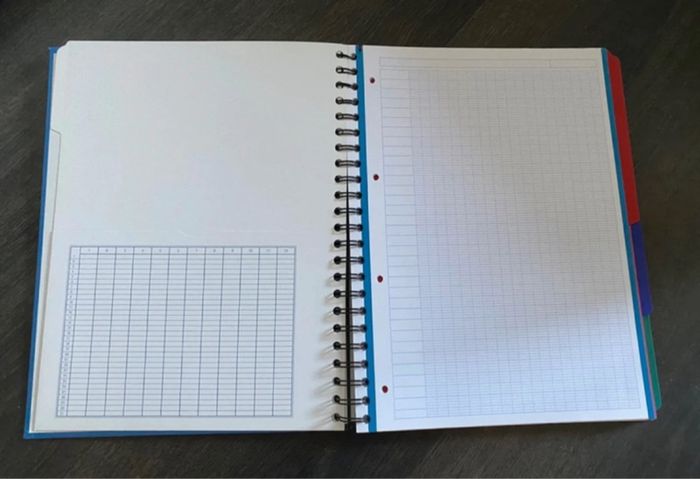 European book - photo numéro 2