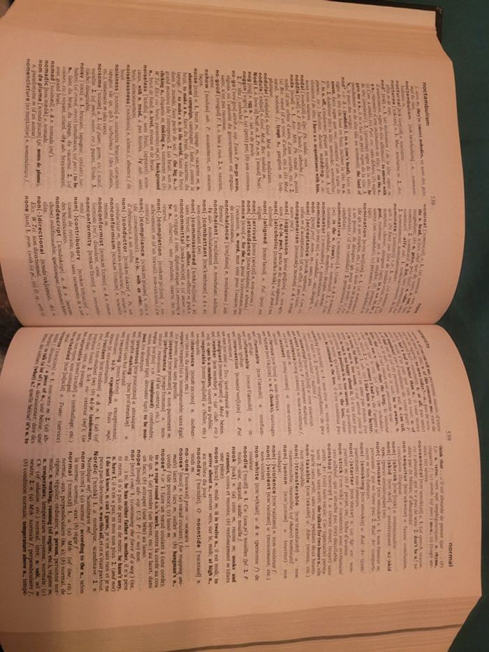 Dictionnaire français anglais - photo numéro 3