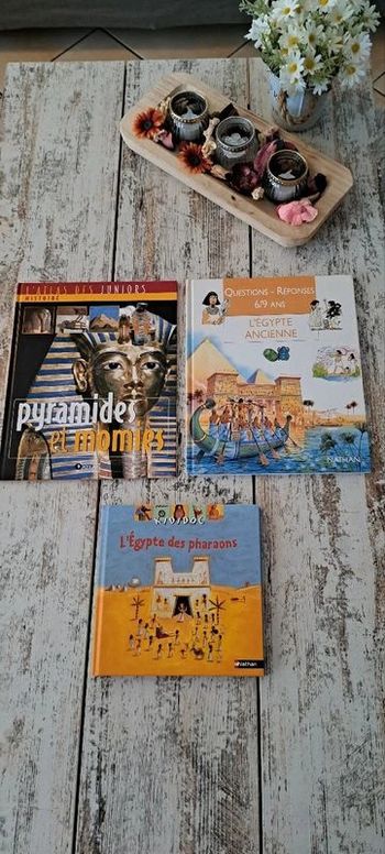 Lot de 3 livres sur l Égypte