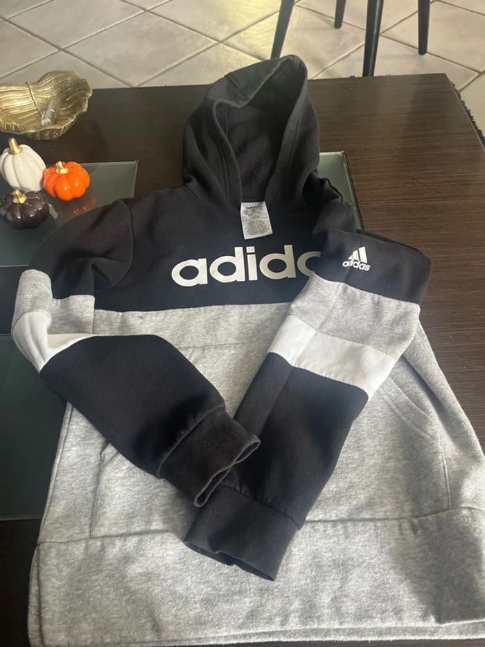 Joli sweat - photo numéro 6