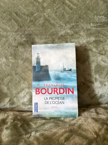 Roman la promesse de l’océan
