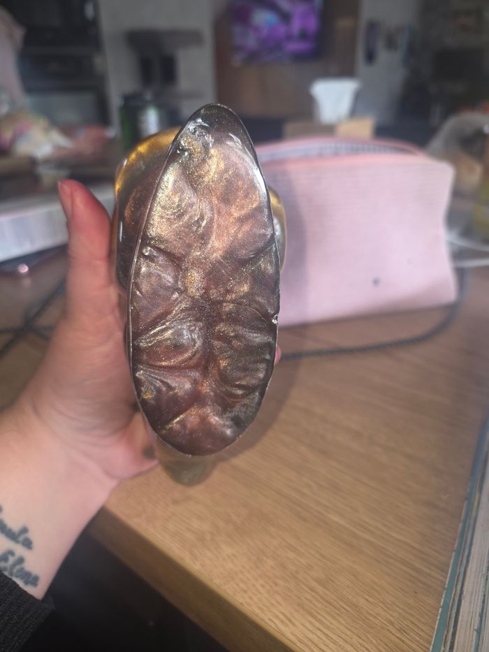 Escargot - photo numéro 4