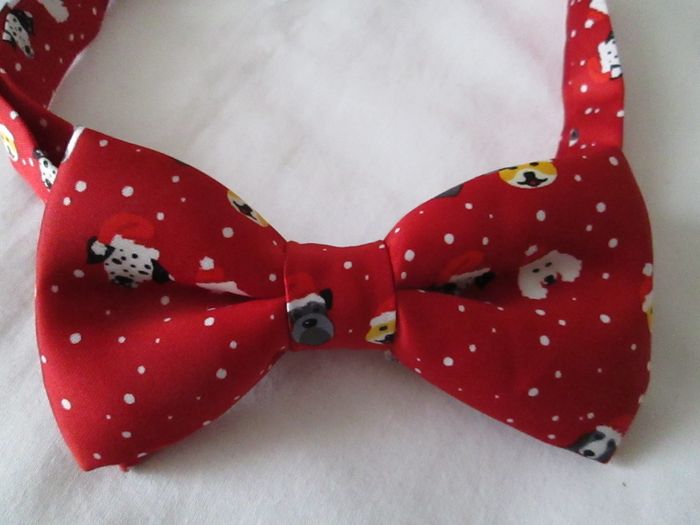 Noeud papillon Rouge - photo numéro 2