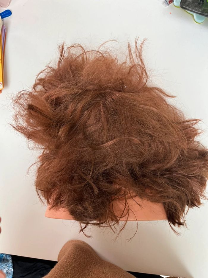 Tête à coiffer - photo numéro 3