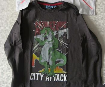 Tee shirt manches longues garçon 6 ans