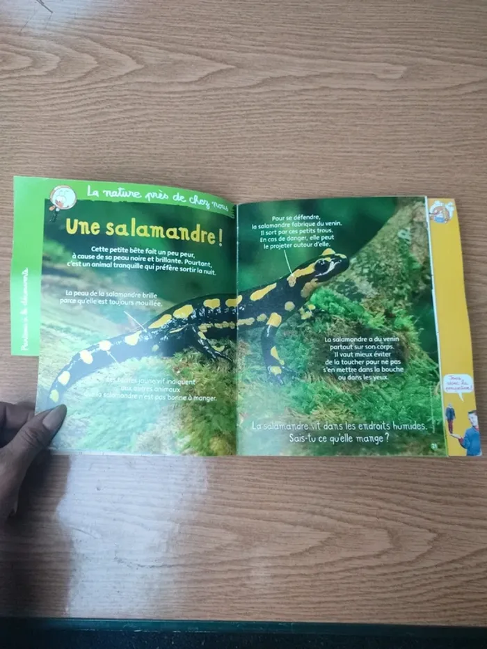 Livre youpi François 1er - photo numéro 15
