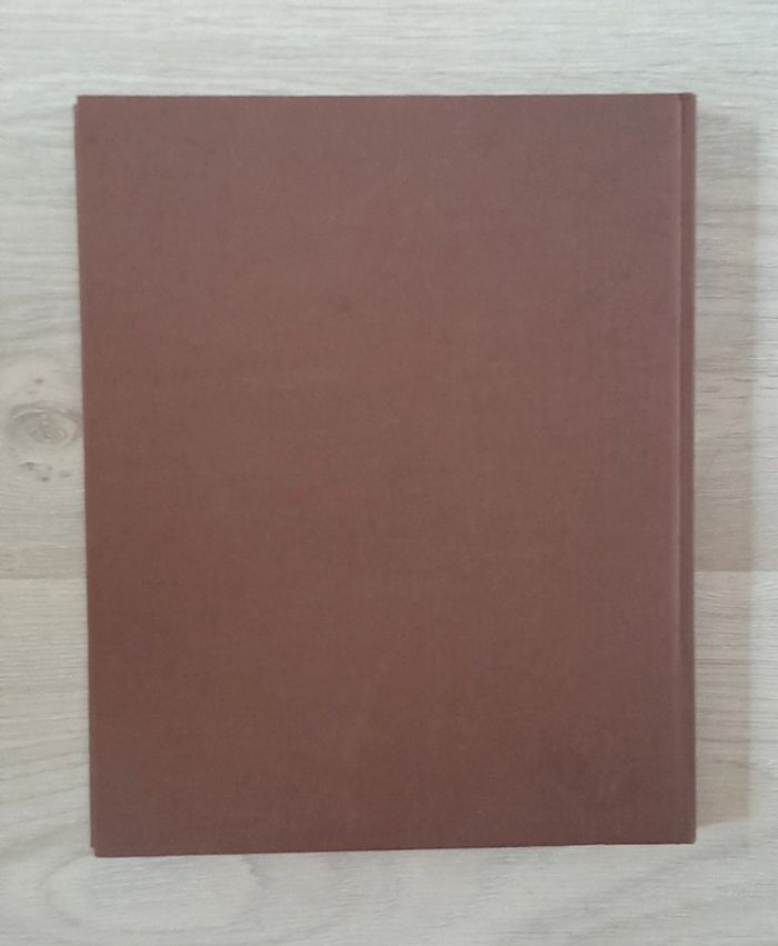 Peuples et nations l'Inde - photo numéro 11