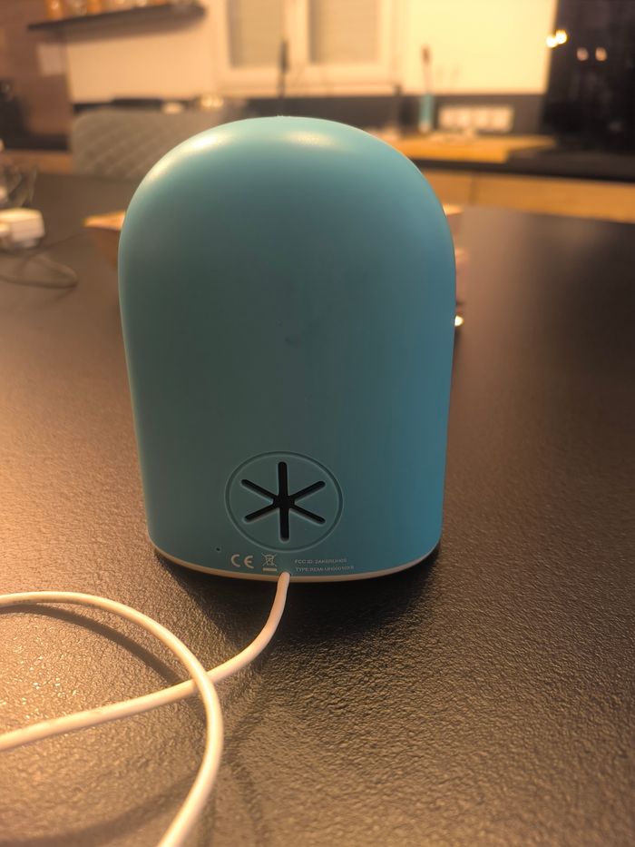 Remi - photo numéro 2