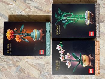 Pack LEGO Botanicals - 10343 / 10344 / 10368 - Neufs et scellés