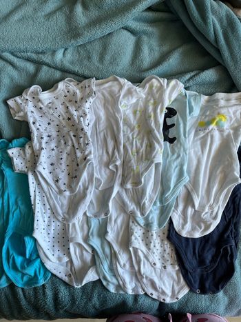 Lot de 13 bodies body manches courtes