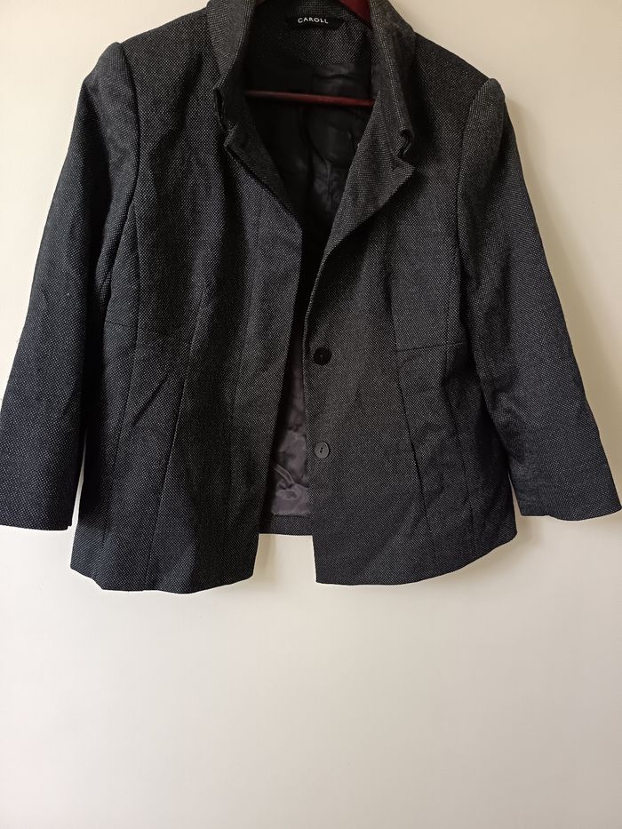 Blazer Caroll 40 - photo numéro 3