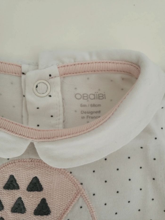 Haut Obaïbi - photo numéro 3