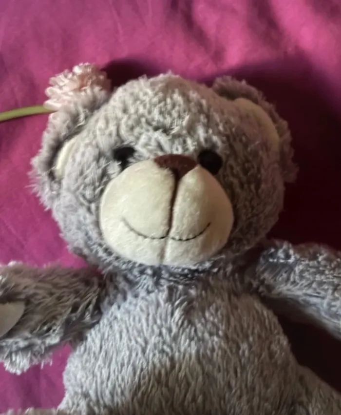 Ours en peluche - photo numéro 2