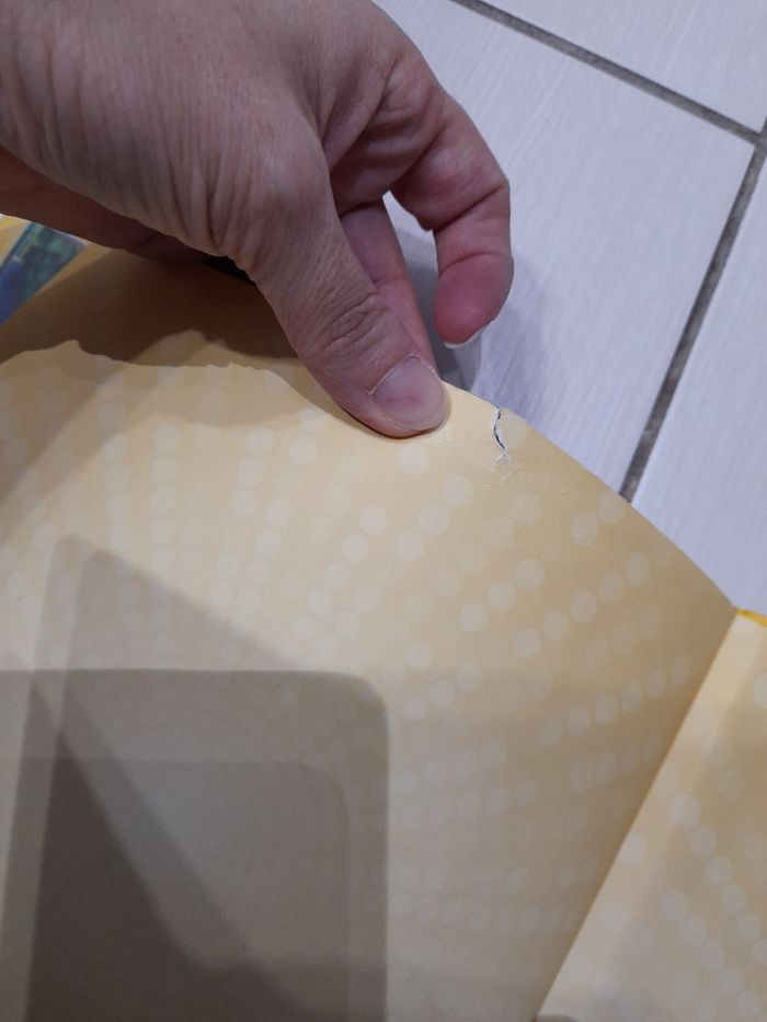 Livres Super wings 
Légers défauts / voie photos - photo numéro 2