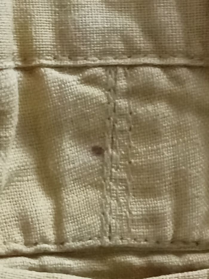 Short - photo numéro 6