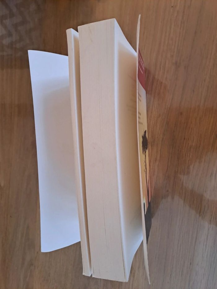 Livre "le premier jour " Marc Levy - photo numéro 5