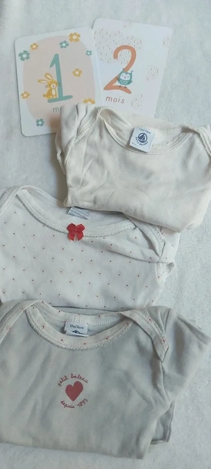 Lot bodies fille 12 mois - photo numéro 2