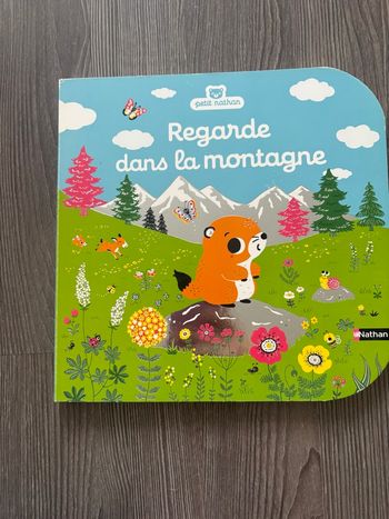 Livre « regarde dans la montagne »