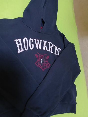 Sweat harry potter