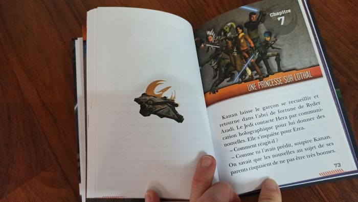 Livres pirates des Caraïbes et star Wars - photo numéro 6