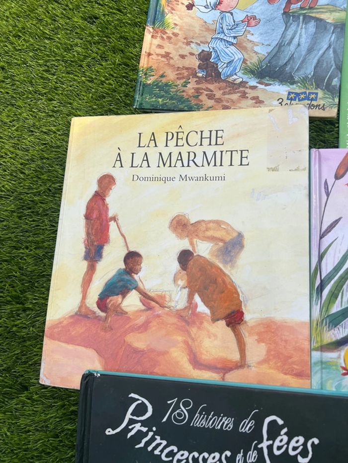 Gros lot de livres divers ( pas de vinted go ) - photo numéro 19