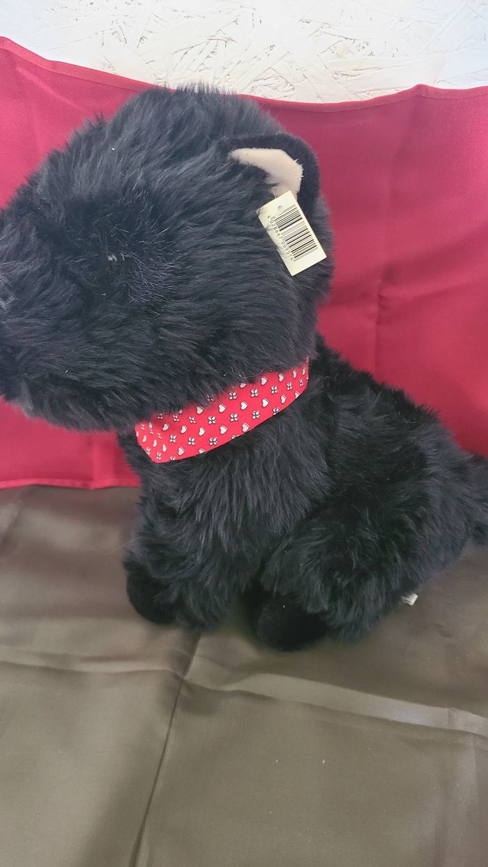 Chien Scottish Terrier Noir - photo numéro 3