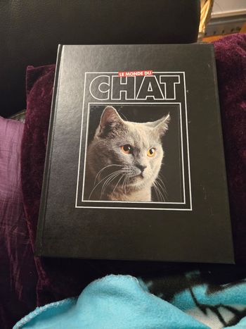 Le monde du chat n °2