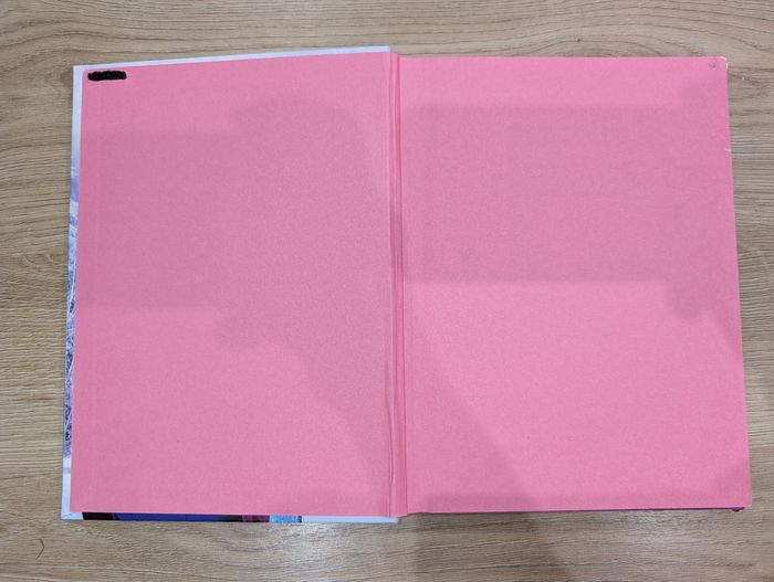 Livre la reine des neiges - photo numéro 2