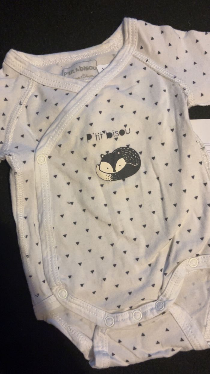 Bodie 1 mois - photo numéro 2