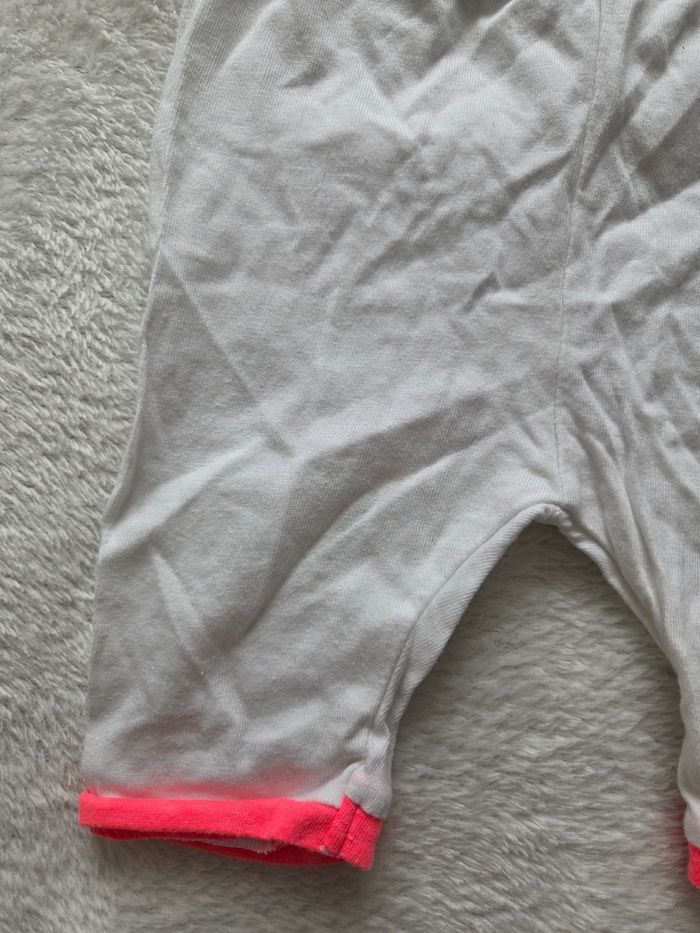 Pantacourt - photo numéro 2