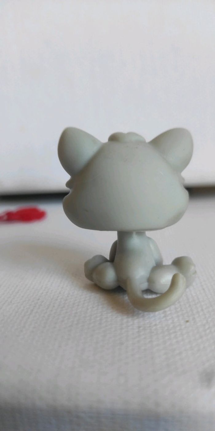 My littlest petshop chat snowshoe 88 avec collier accessoire - photo numéro 4