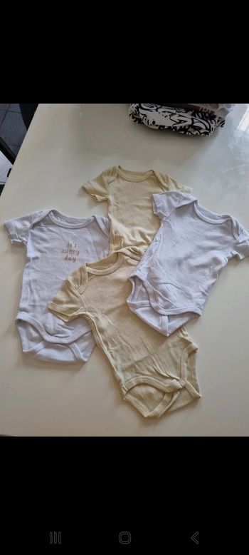 Bodys manches courtes